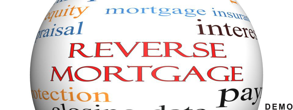 REVERSE MORTGAGE LOANS